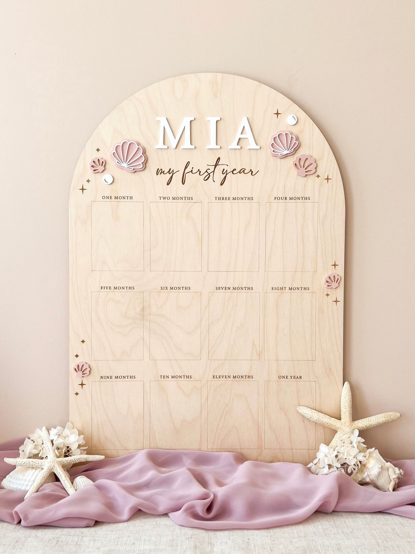 12 Month Baby Photo Board
